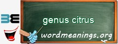 WordMeaning blackboard for genus citrus